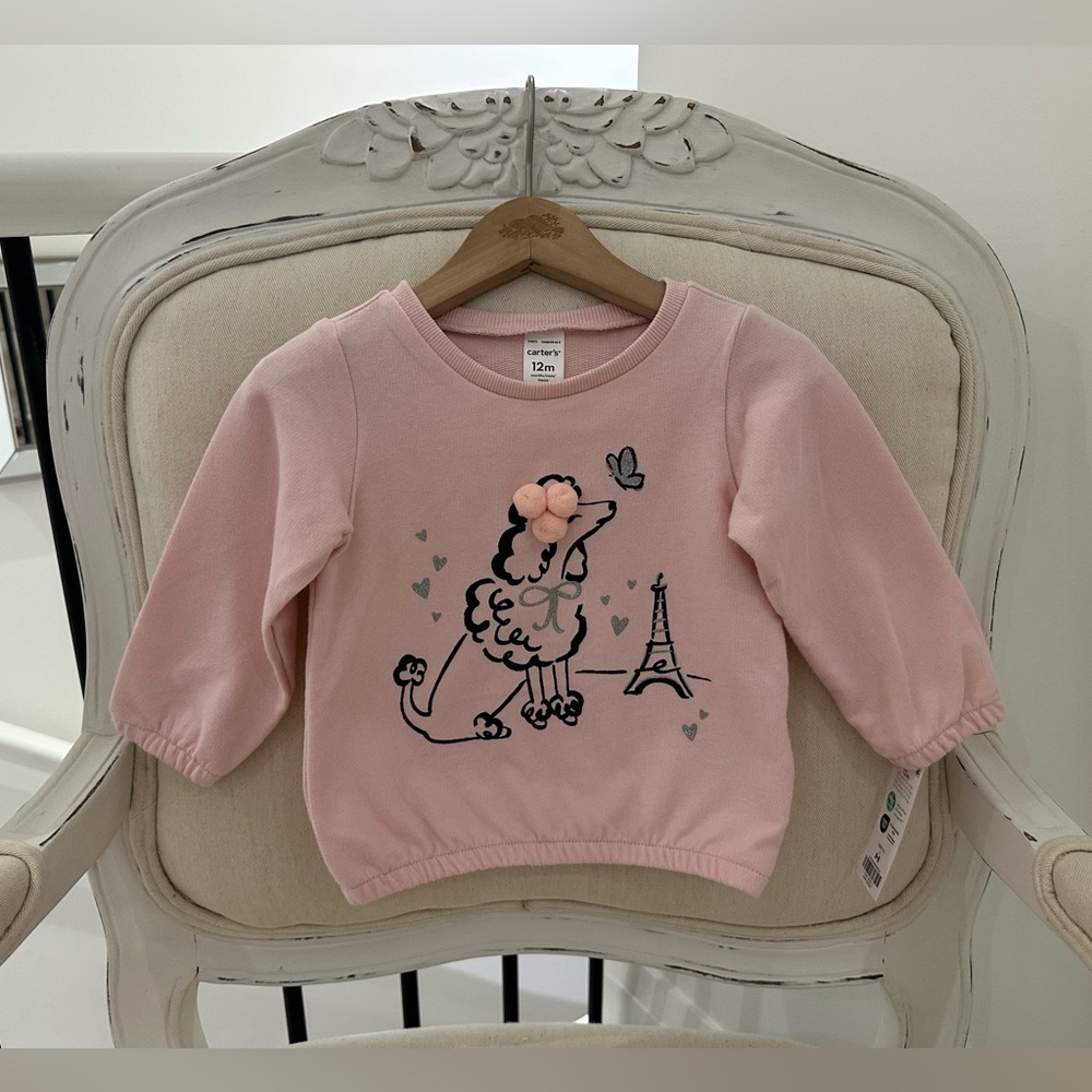 ๐ Baby 12 Mth Pink Poodle Paris Sweatshirt NWT